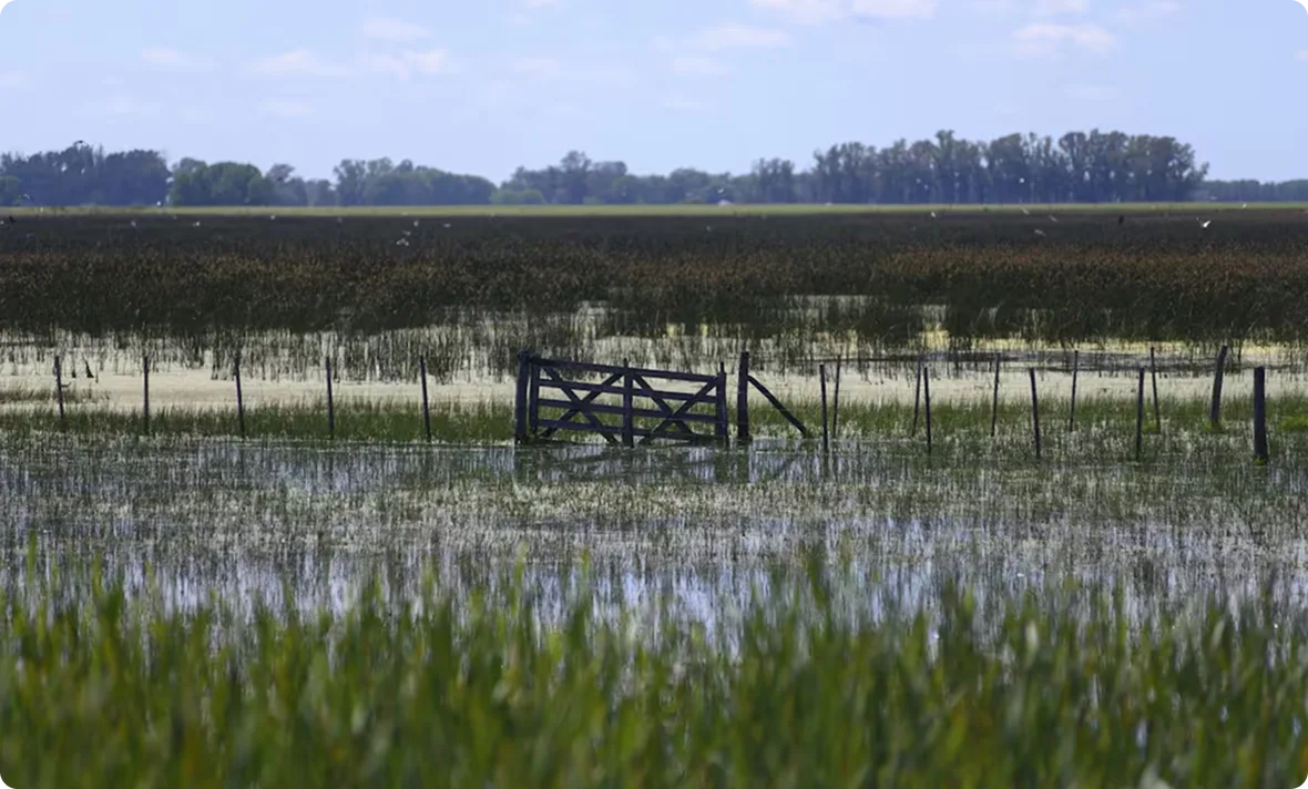 Campo agrícola inundado con cultivos bajo el agua